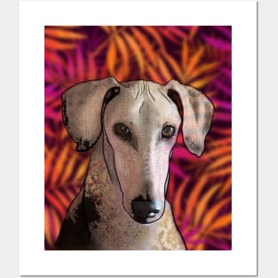 Saluki Posters and Art